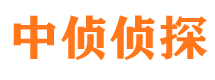 江山调查公司